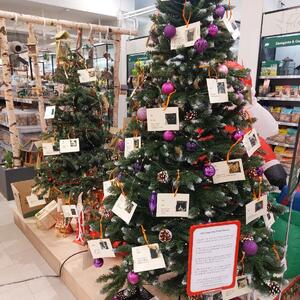 Seit dem vergangenen Samstag steht im Fressnapf Altona in der Ruhrstraße der erste Weihnachts-Wunsch-Baum für das Franziskus Tierheim. Hier dürfen wir die Wünsche unserer Schützlinge auf kleinen Kärtchen notieren und darauf hoffen, dass die Kunden den einen oder anderen Wunsch erfüllen. Wir freuen uns sehr, ist diese Unterstützung doch so wichtig!
Wenn ihr auch Lust habt, unseren Katzen, Kleintieren oder Hunden einen Herzenswunsch zu erfüllen, kommt einfach vorbei <3
Danke an Fressnapf Hamburg, dass ihr uns – wie auch bereits in den Vorjahren – so großzügig unterstützt und natürlich schon im Voraus ein herzliches Dankeschön an die lieben Kunden, die uns jedes Jahr wieder Herzenswärme schenken.

#dankbar #fressnapfhamburg #ruhrstrasse #Weihnachten #herzenswunsch #Wunschzettel #franziskustierheimhamburg